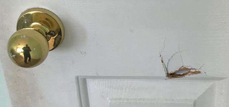 interior door hole repair San Marcos