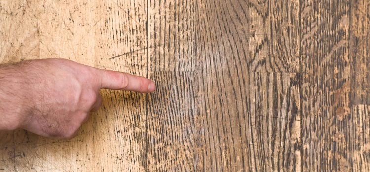 Wood Door Scratch Repair in San Marcos